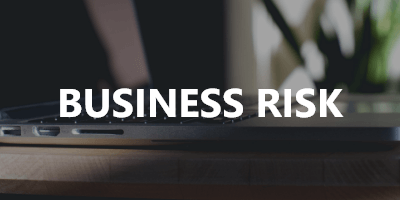 Business Risk