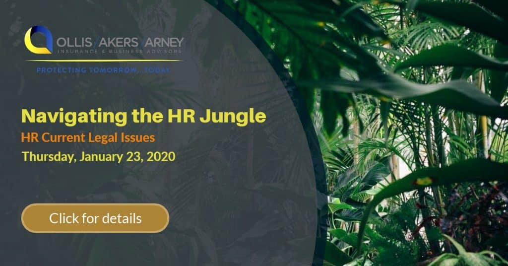 Navigating the HR Jungle