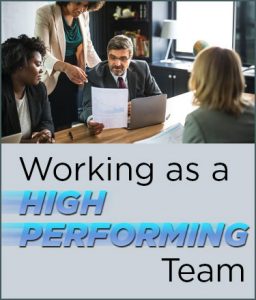 Working as a High Performing Team